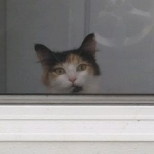 Meet your Posher, Tracy